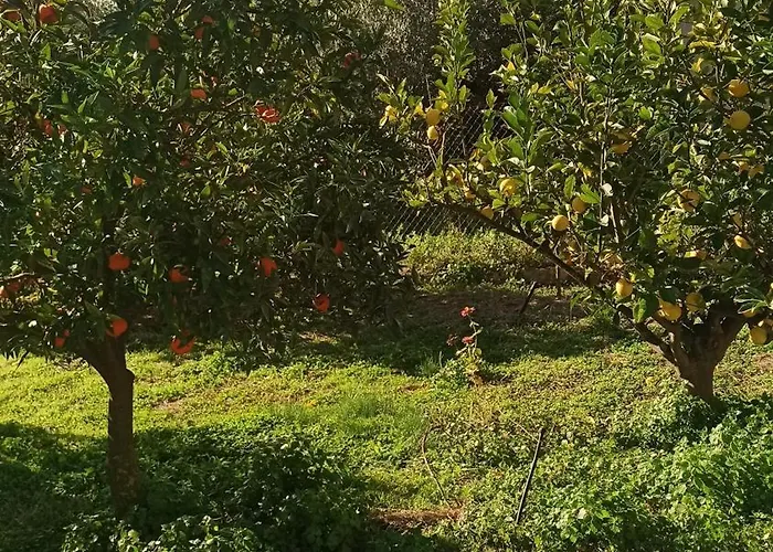 펜션 O'gera Greek House In The Mountains Kokla