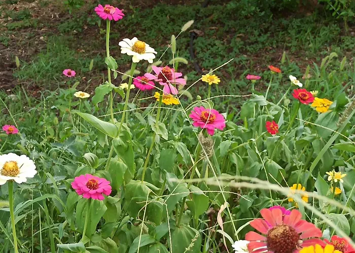 Nyaraló O'gera Greek House In The Mountains *
