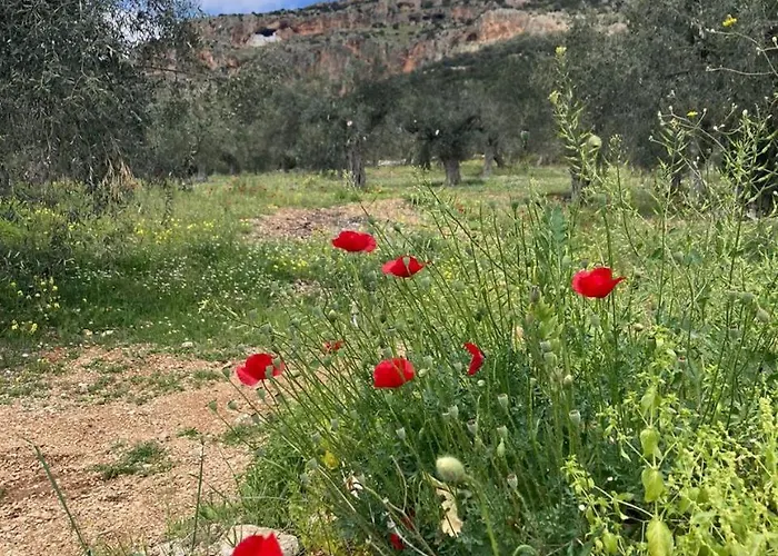 O'gera Greek House In The Mountains 펜션